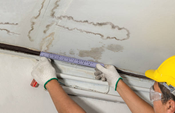 Reliable Burst Pipe Cleanup contractor in Kingston, WA by Water Damage Irwin